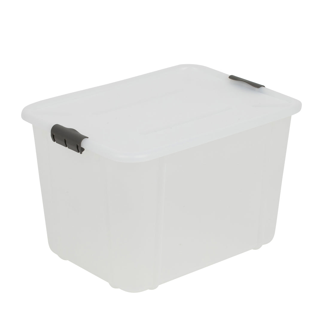 Cutie depozitare Branq Velur 30L, cu capac transparent