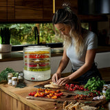 Uscator pentru legume, ciuperci, fructe si ierburi GreenBlue GB190, 5 straturi, 250 W