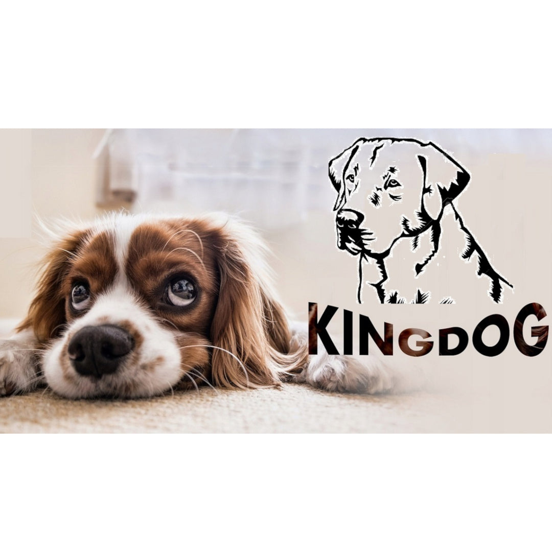 Pat mare pentru câini și pisici 100 x 75 gri închis - Kingdog mărimea L