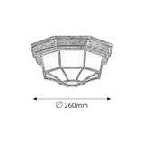 Rabalux milano plafonieră pentru exterior 8376 din metal și abajur de sticlă
