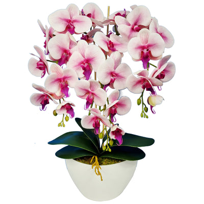 Floare artificială orhidee Damich Spotted ,cu ghiveci ,alb-roz 60cm