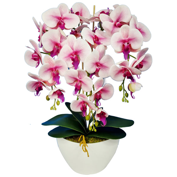 Floare artificială orhidee Damich Spotted ,cu ghiveci ,alb-roz 60cm