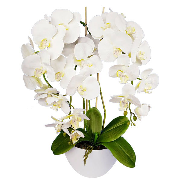 Floare artificială orhidee Damich Spotted alb,cu ghiveci 60cm