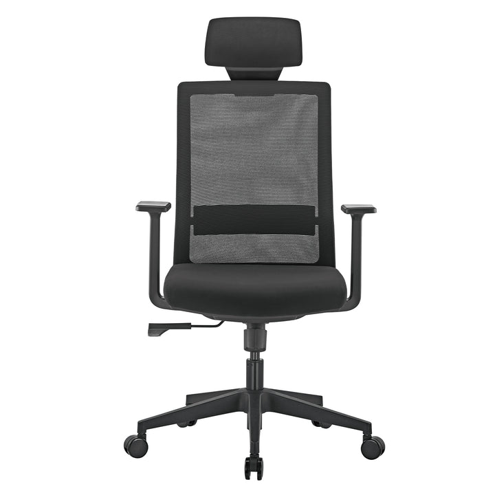 Scaun de birou ergonomic premium cu spătar înalt Ergo Office, max 150kg, ER-425