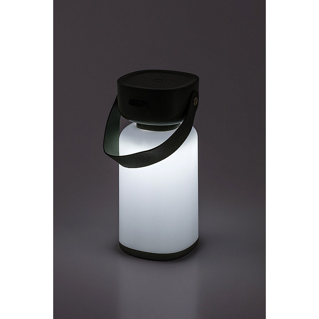 Lampă decorativă exterioara Rabalux Funes, IP44, 3W, verde