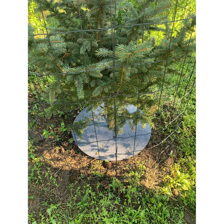 Set de discuri Bertoni împotriva buruienilor, 3 bucăți, 40 cm, gri