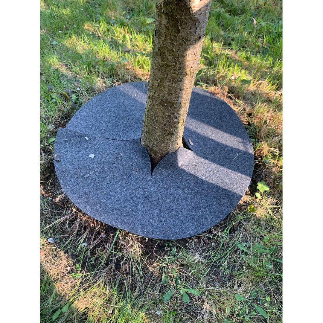 Set de discuri Bertoni împotriva buruienilor, 3 bucăți, 40 cm, gri