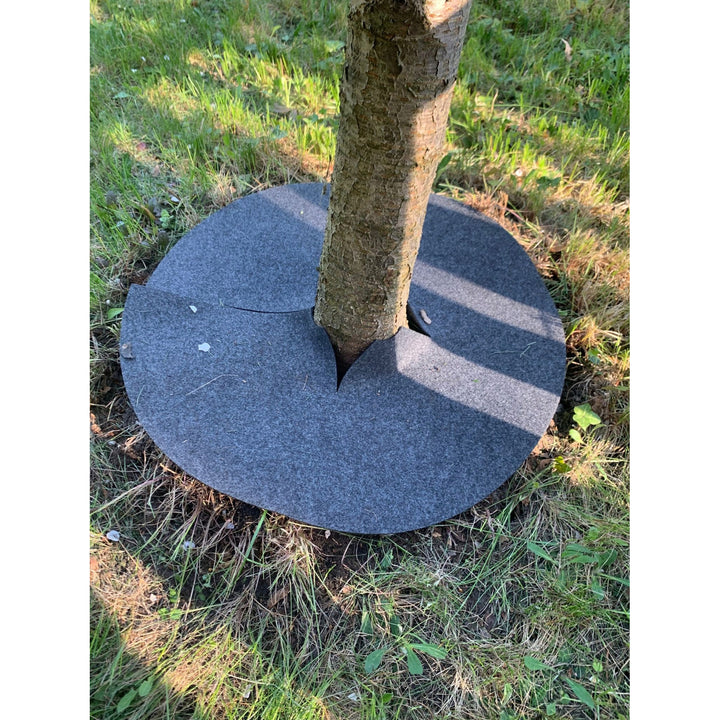 Set de discuri Bertoni împotriva buruienilor, 3 bucăți, 40 cm, gri