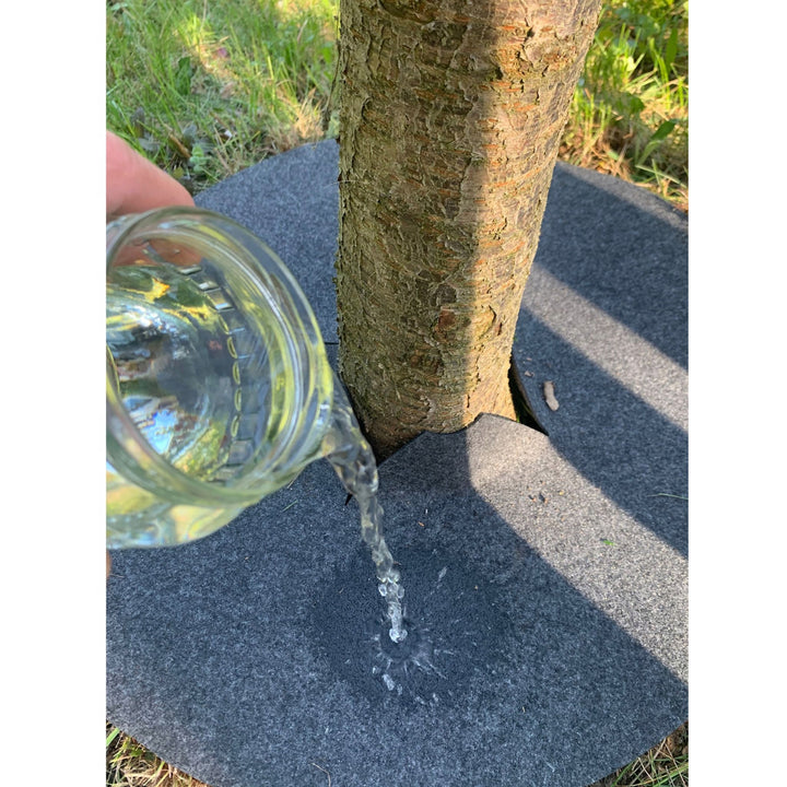 Set de discuri Bertoni împotriva buruienilor, 3 bucăți, 40 cm, gri