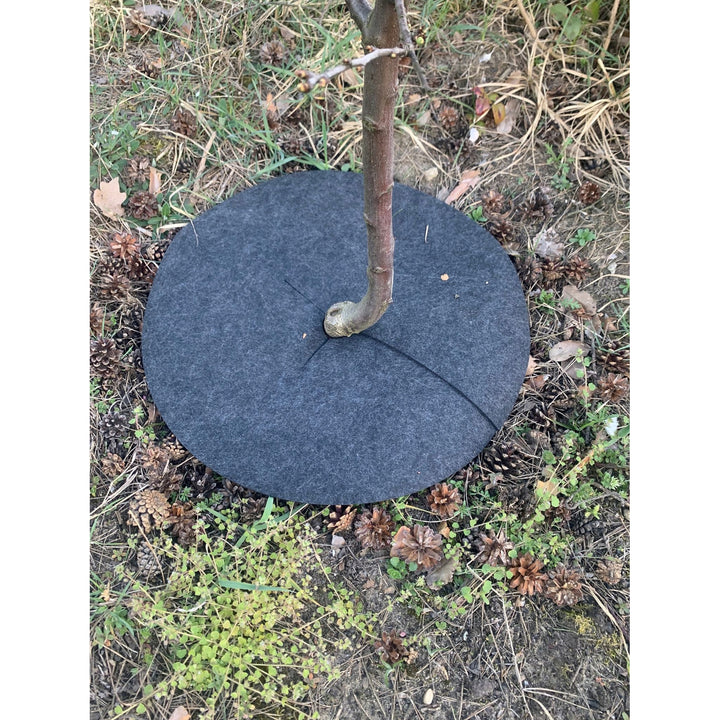 Set de discuri Bertoni împotriva buruienilor, 3 bucăți, 50 cm, gri