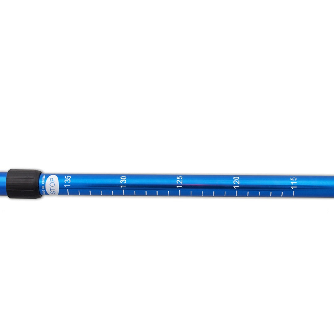 Bastoane telescopice de Nordic Walking din aluminiu, 65-135 cm, albastre, 2 perechi
