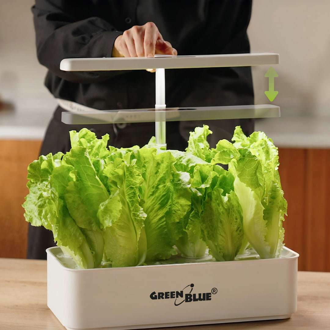 Sistemul inteligent de cultivare interioară a plantelor GreenBlue, ghiveci SMART, capacitate 4 L, 220-240 V c.a., 50/60 Hz, 0,4 A, GB133 + set de accesorii