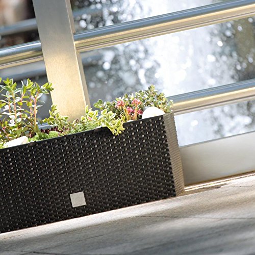 Ghiveci de plante/flori imitație de ratan dreptunghiular 17L umbra Prosperplast Rato DRTC500 440U