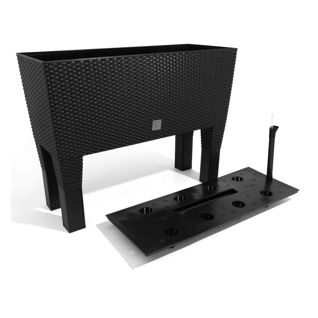 Ghiveci de plante/flori cu picioare imitație de ratan dreptunghiular Prosperplast Rato Case DRTC800H S433 antracit