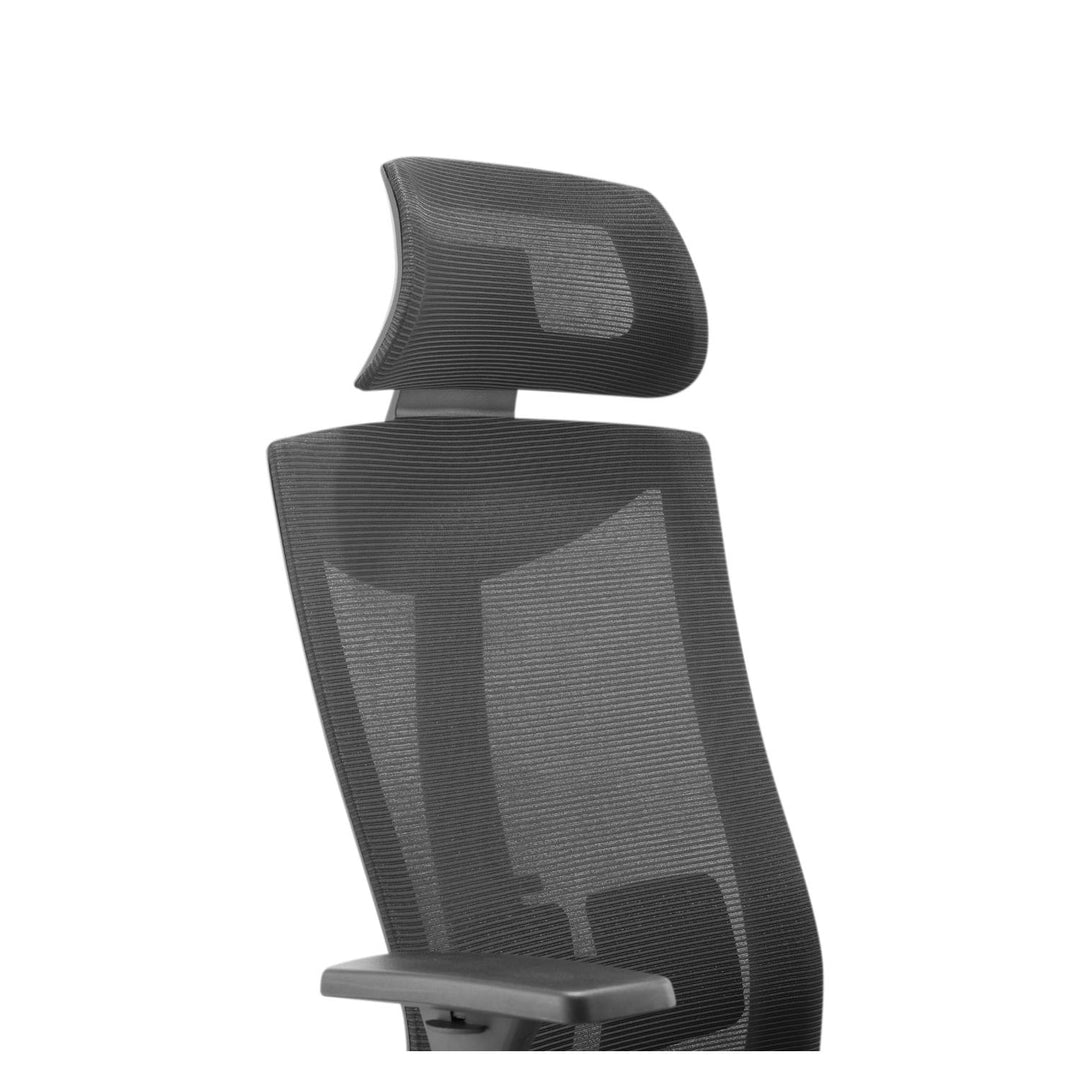 Scaun de birou ergonomic premium cu spătar înalt Ergo Office, max 150 kg, ER-414