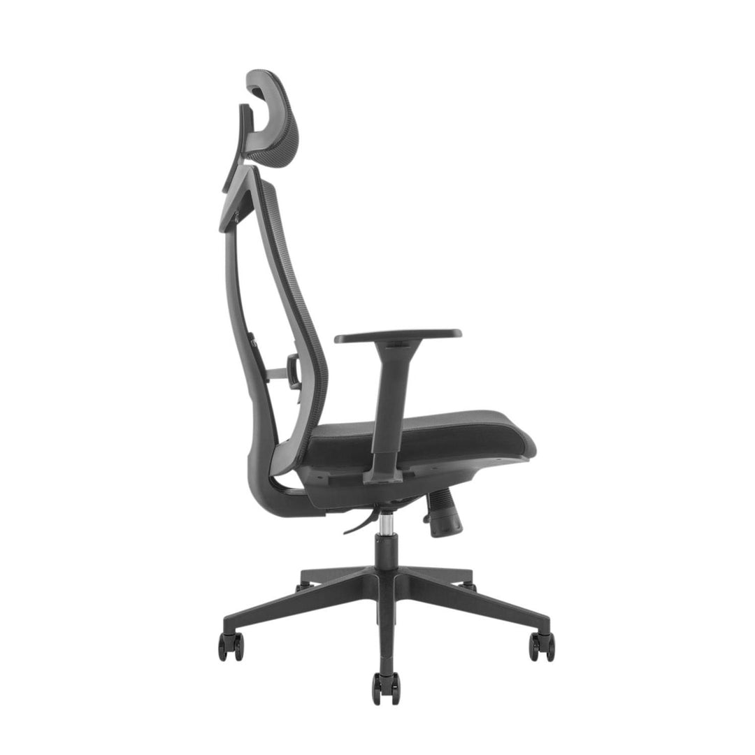 Scaun de birou ergonomic premium cu spătar înalt Ergo Office, max 150 kg, ER-414