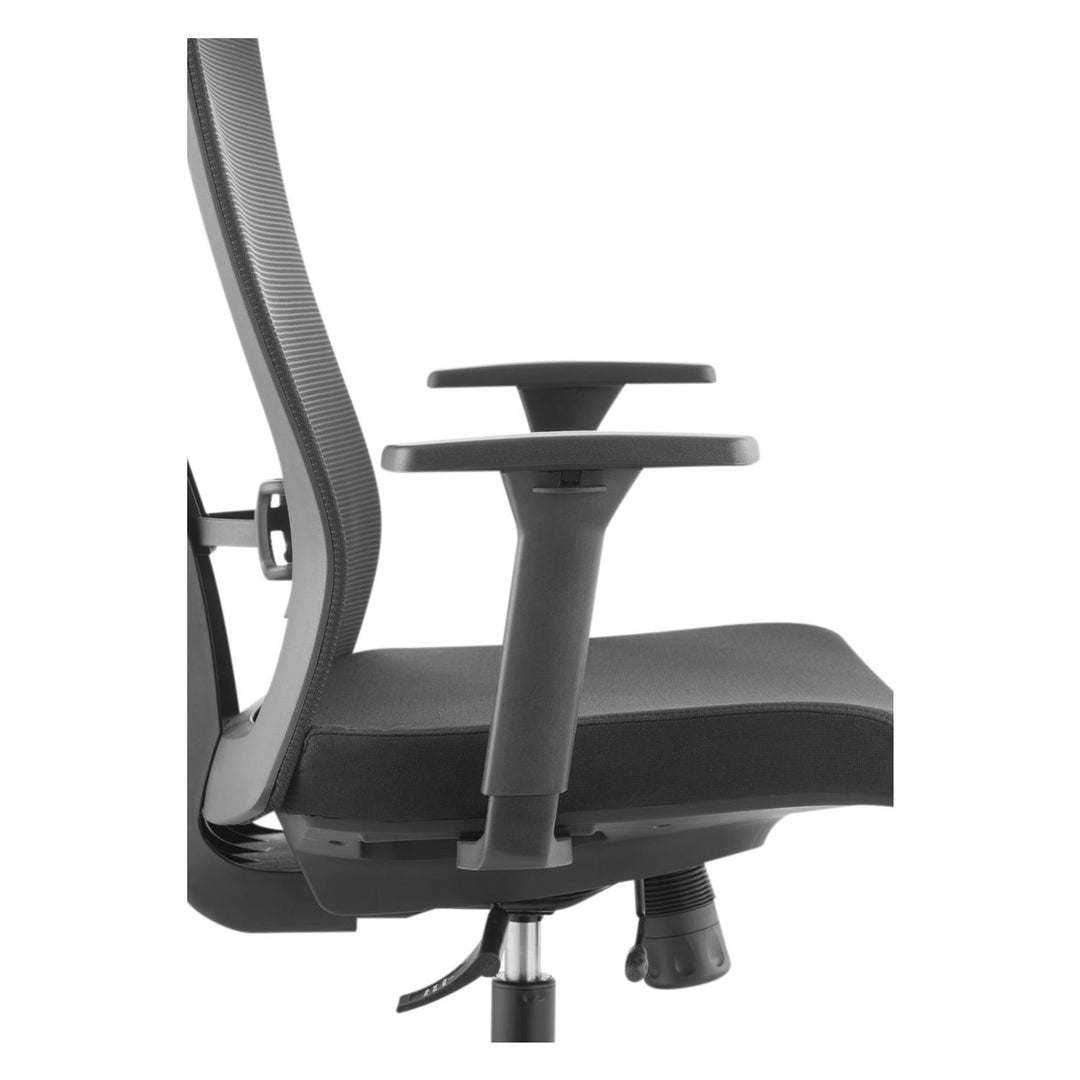 Scaun de birou ergonomic premium cu spătar înalt Ergo Office, max 150 kg, ER-414