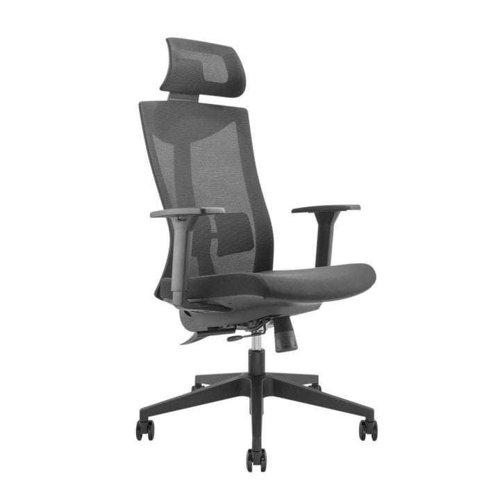 Scaun de birou ergonomic premium cu spătar înalt Ergo Office, max 150 kg, ER-414