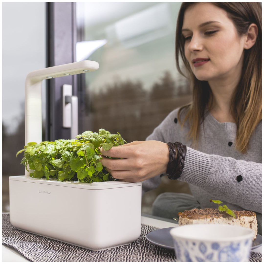 ClicAndGrow Smart Garden 3 grădină de casă bej + capsule de busuioc