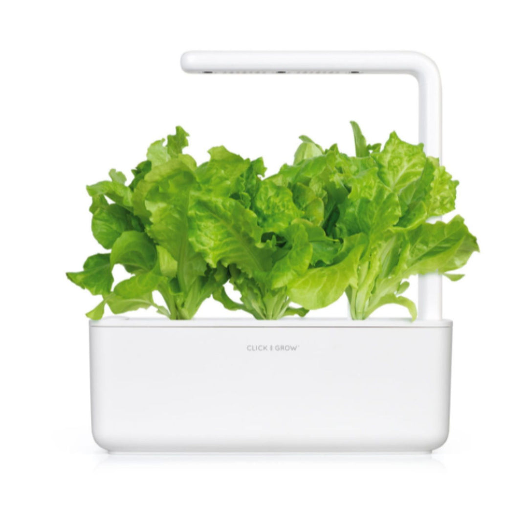 Seminte Click & Grow Smart Garden pentru gradina de acasa - salata verde