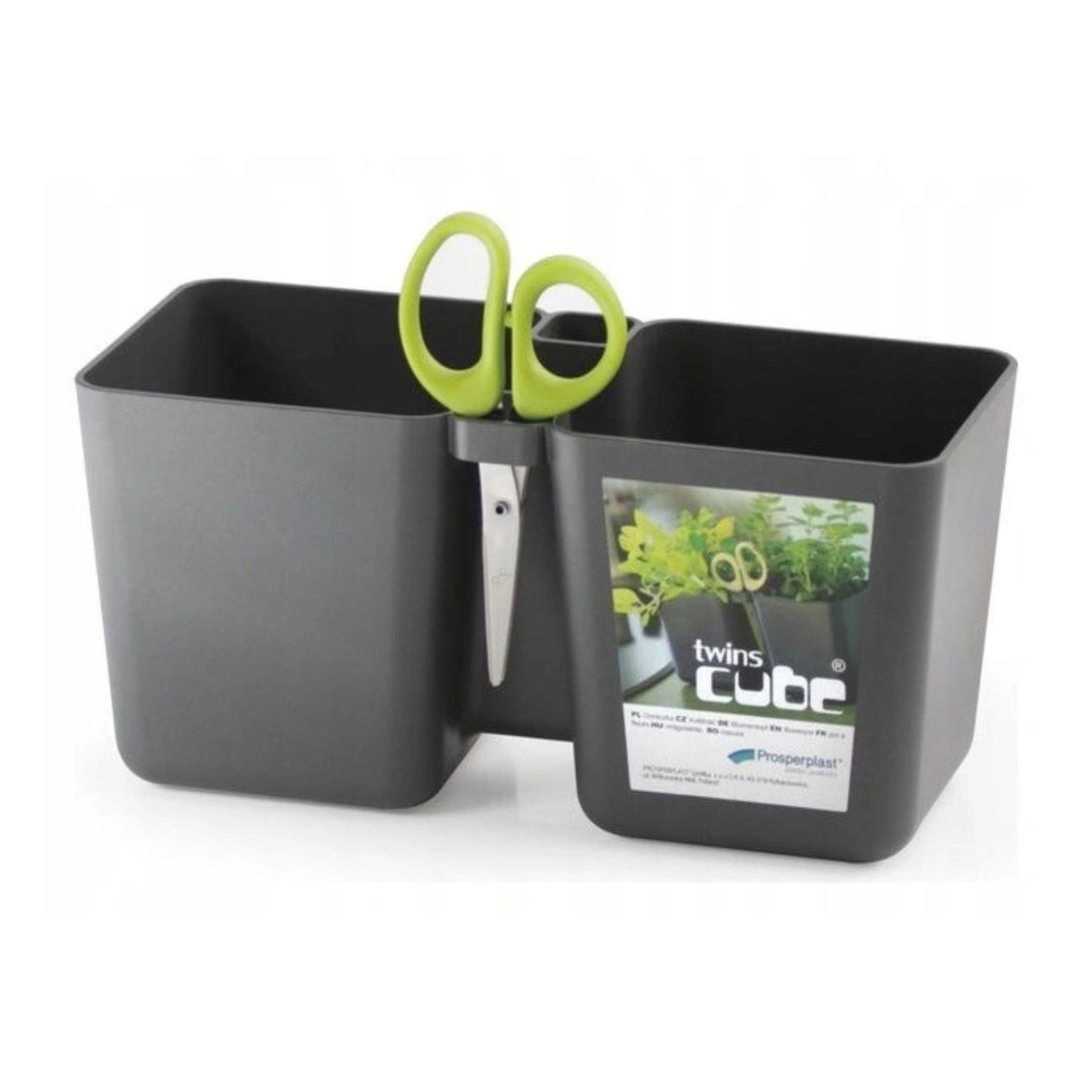 Gemeni Cube cu ierburi de grafit cu foarfece tăiate pe plante medicinale