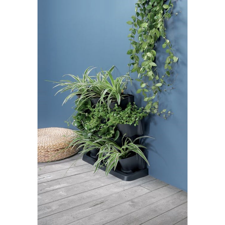 Grădină verticală Prosperplast Cascade Garden IO2W600S-S433 antracit