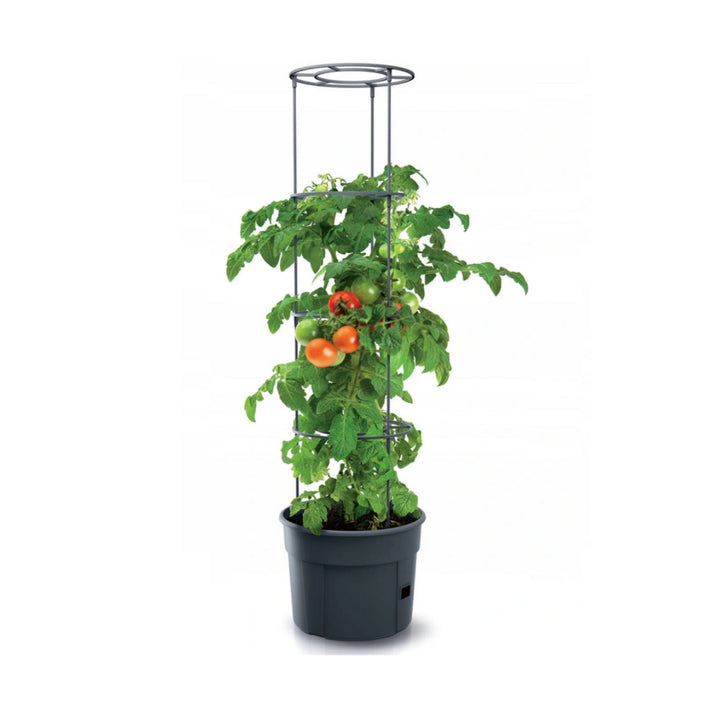 Tomato Grower IPOM400 oală de roșii