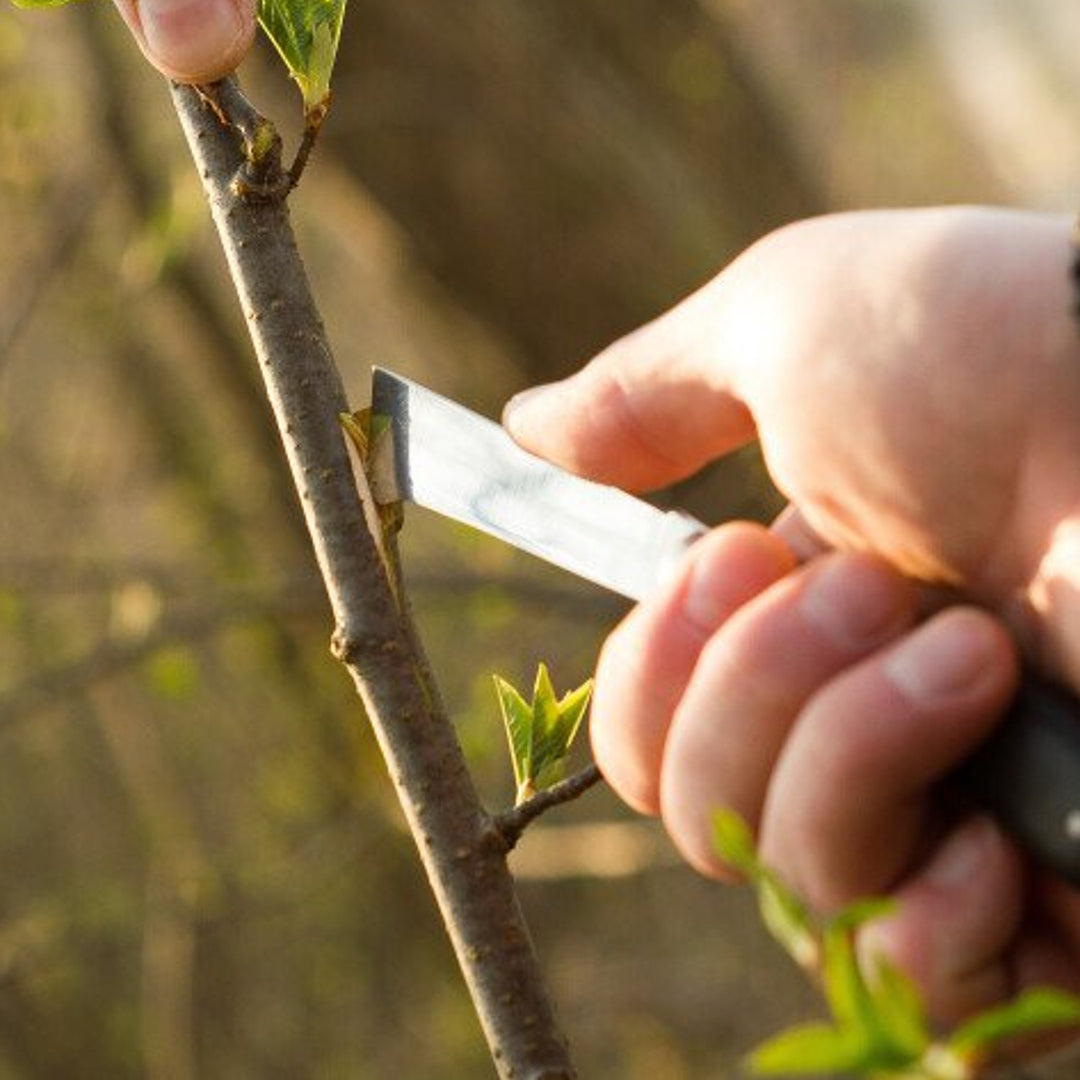 Cuțit de grădină Cellfast pentru altoirea plantelor 40-262