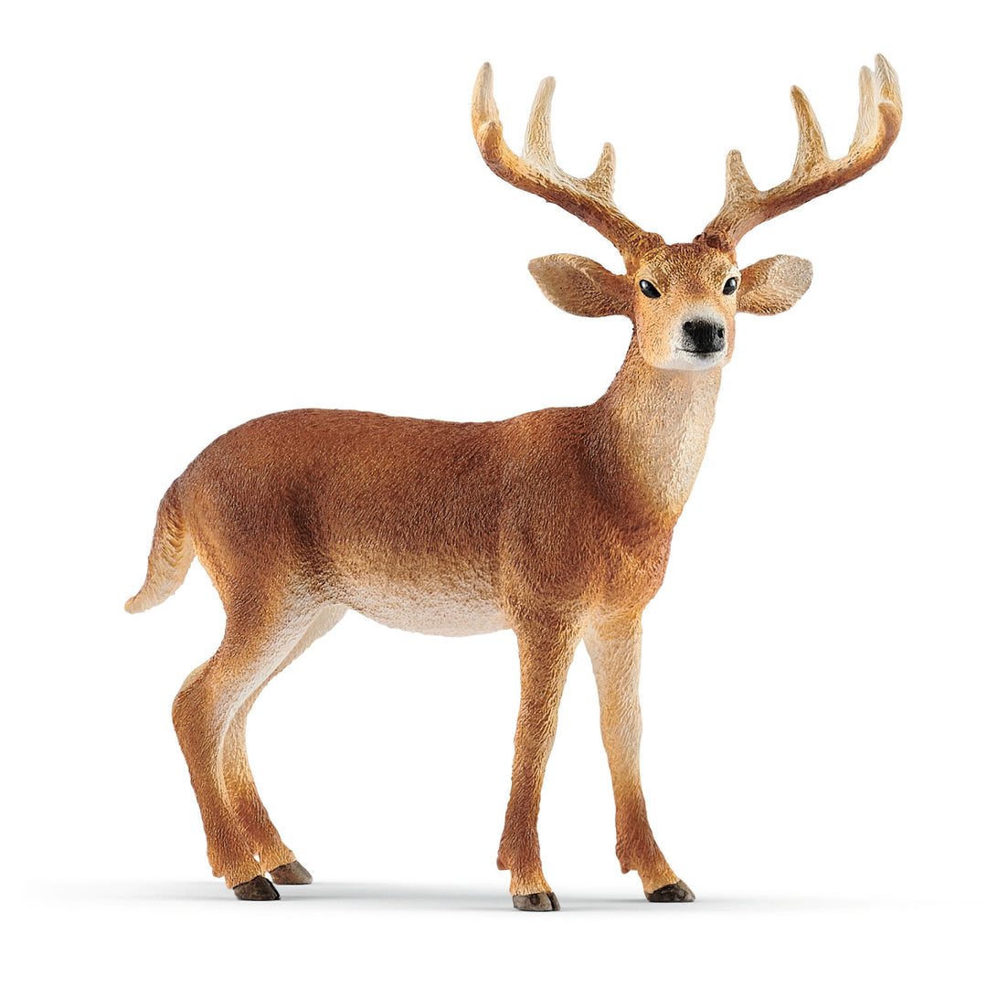 Figurină Schleich Wild Life Cerb cu coadă albă 14818 Manoperă de înaltă calitate