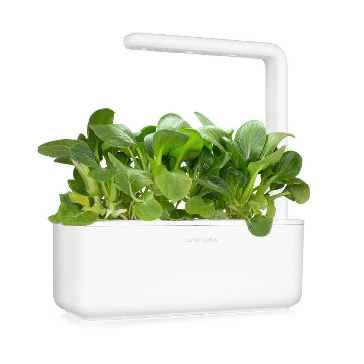 Semințe de plante Substrat Capsulă pentru interior Click & Grow - Smart Garden - Set de 3 varză chinezească