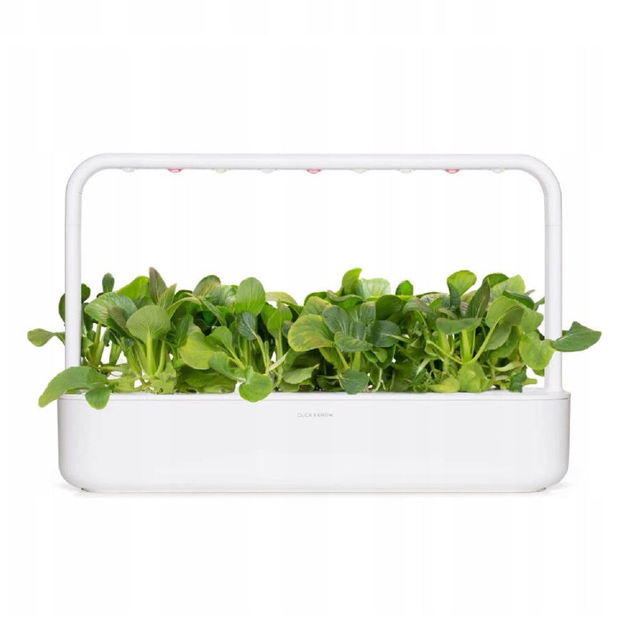 Semințe de plante Substrat Capsulă pentru interior Click & Grow - Smart Garden - Set de 3 varză chinezească