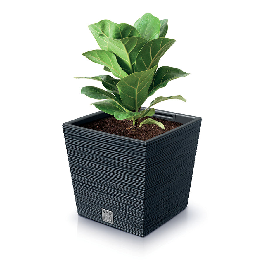 Ghiveci decorativ Prosperplast Furu Square Low, DFS300-S433, antracit