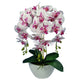 Orhidee artificiala Damich, 60 cm, alb-mov, in ghiveci