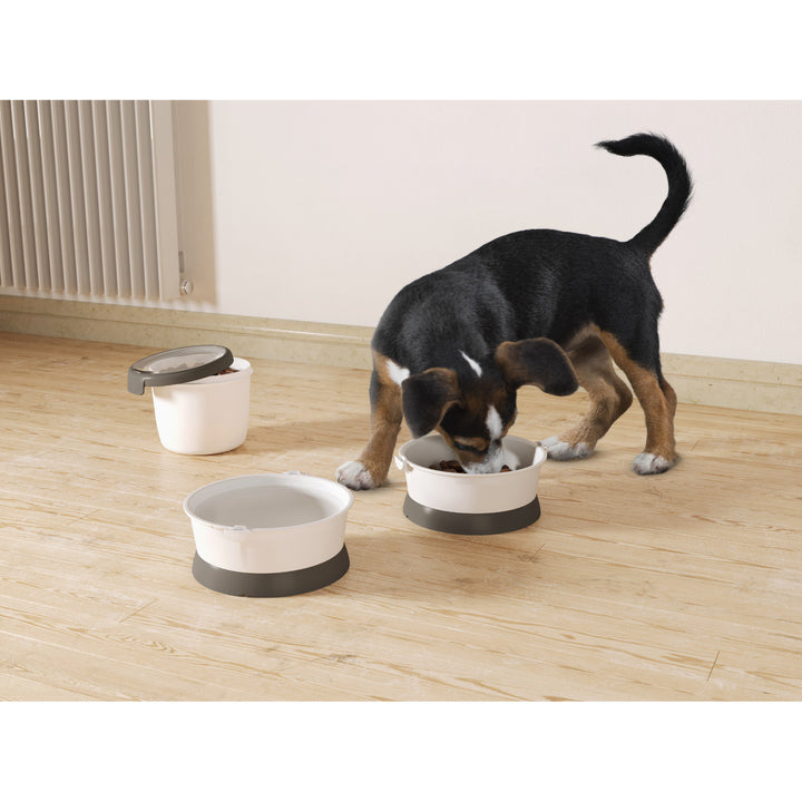 Recipient alimente pentru animale de companie, cu 2 boluri, plastic, 1.5 L